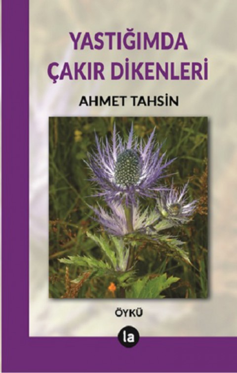 Yastığımda Çakır Dikenleri