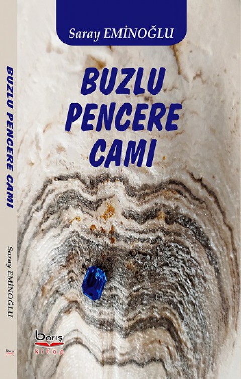 Buzlu Pencere Camı