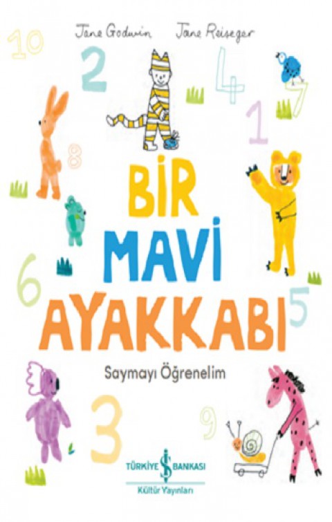 Bir Mavi Ayakkabı